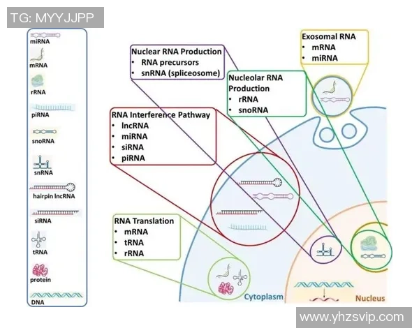武汉足球队防反战术革新探索与实践的深度分析与展望 武汉足球队防反战术革新探索与实践的深度分析与展望